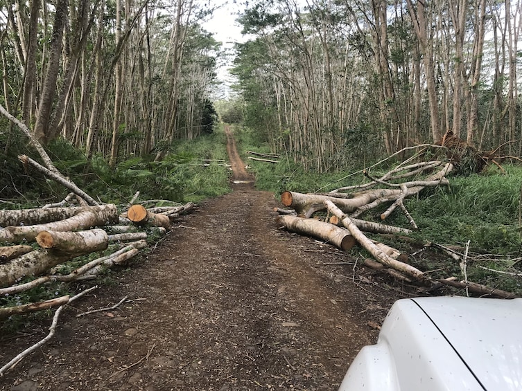Wailua east side 4x4 off road adventure