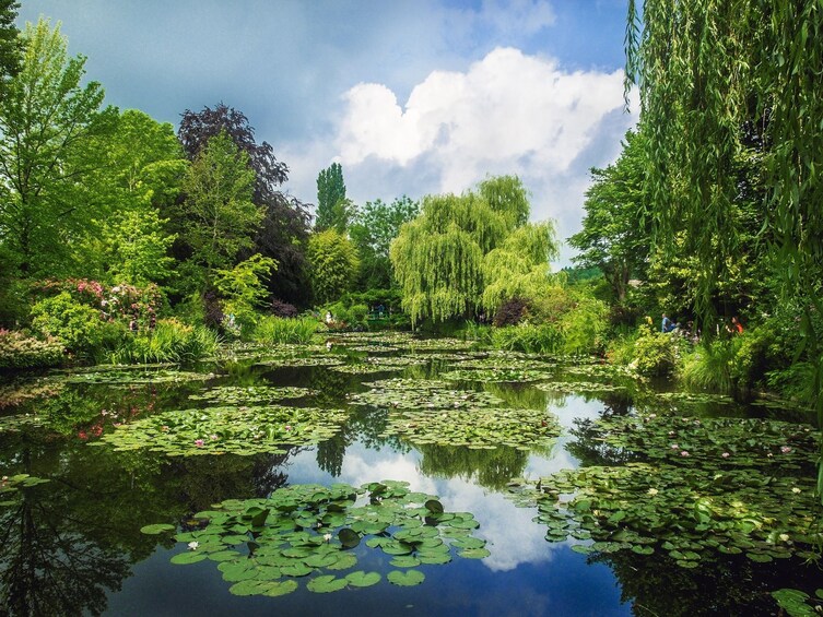 Claude Monet?s gardens 