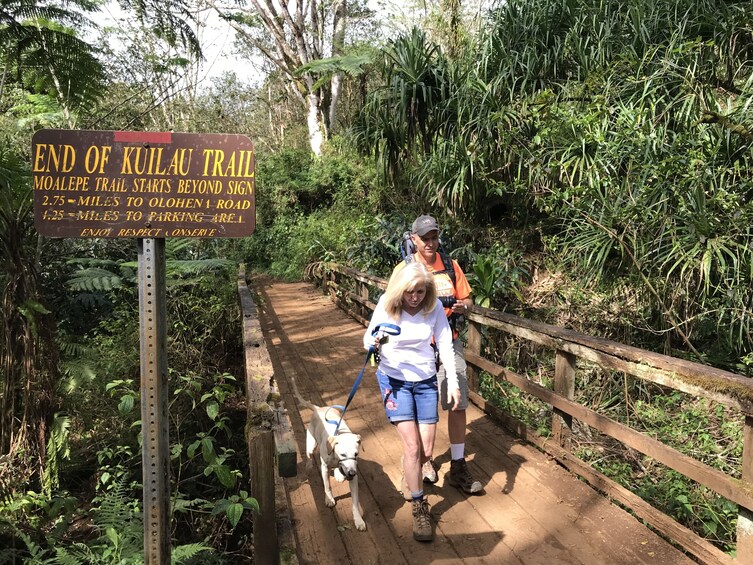 Wailua half day blue hole views (Kuilau ridge)