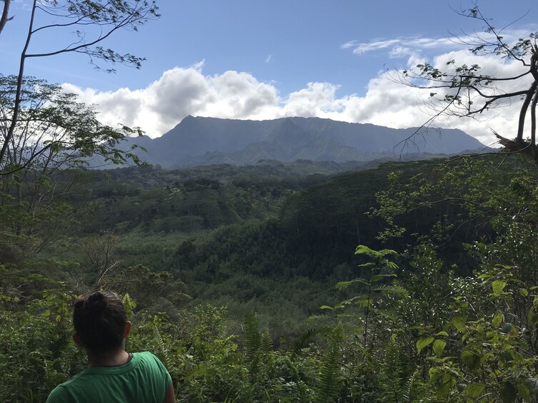 Wailua half day blue hole views (Kuilau ridge)