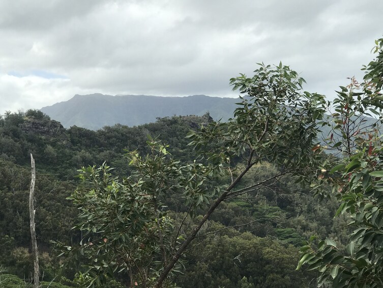 Sleeping giant - Nounou trail
