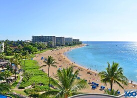 Private West Maui Beaches Tour