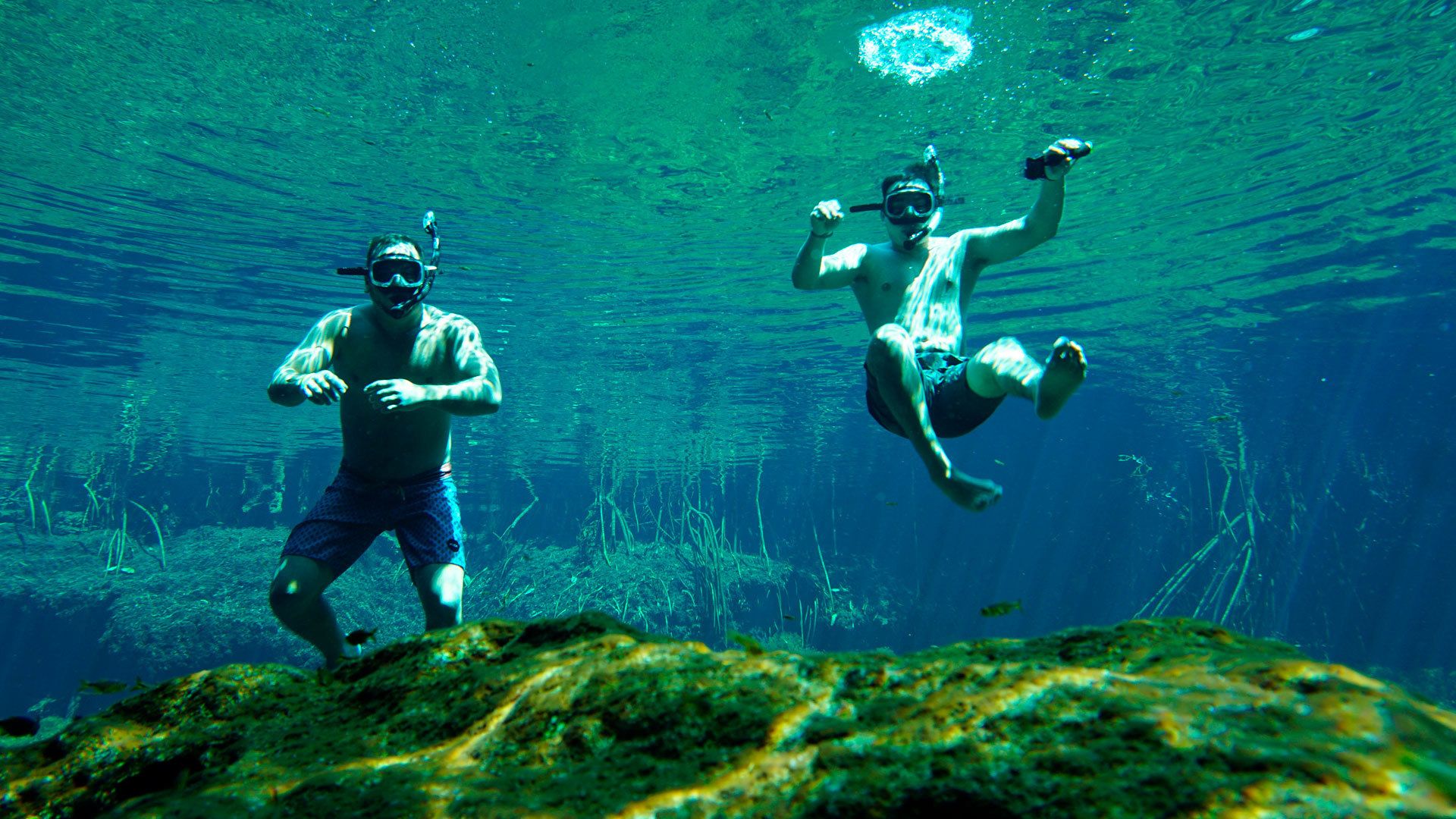 snorkel-as-never-before-private-tour