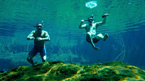 Snorkel Like Never Before Private Tour