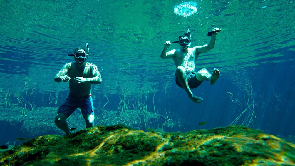 Snorkel As Never Before Private Tour