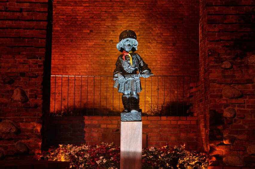 Warsaw Old Town inc.Royal Castle + Lazienki Park: PRIVATE