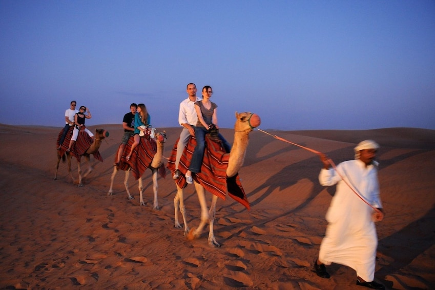 Desert Safari AL Maha  + Marina Dhow Dinner Cruise