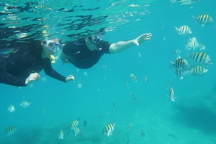 Privé snorkelavontuur met de ultieme lokale expert