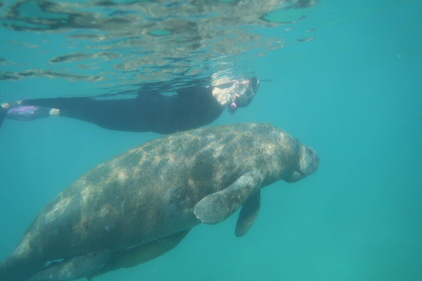 Private Snorkeling Adventure with the Ultimate Local Expert