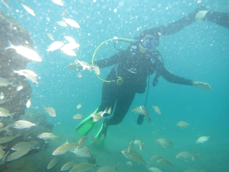 Expert-Led Snorkeling Training and Tour :Your Path to Atlantic Ocean Fun
