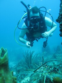 Bucket List dykupplevelse med Marinelife, en upplevelse för livet - Guarnat...