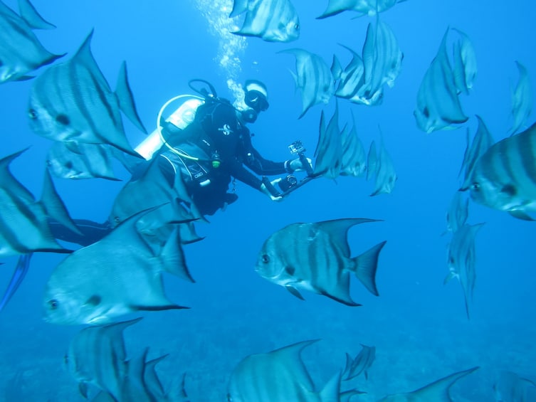 Bucket List Scuba Diving - The 4 Hour Passage To SCUBA Dive