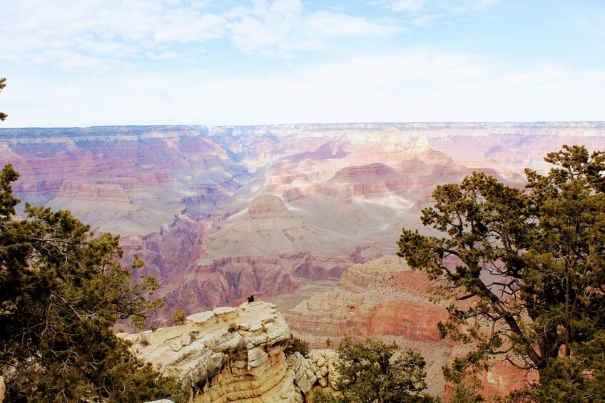 Grand Canyon National Park Luxury Private Tour Experience