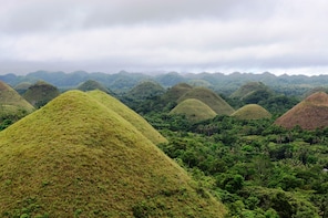 FULL-DAY BOHOL EXCURSION (DEPARTS FROM CEBU)