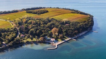 Walking in the "Sea Vineyards"