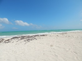 Isla Blanca Wildlife Expedition Private Bike Tour