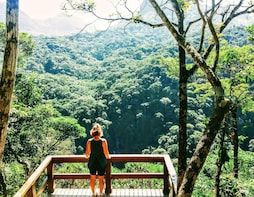 Tijuca Forest Family Hike (half-day)