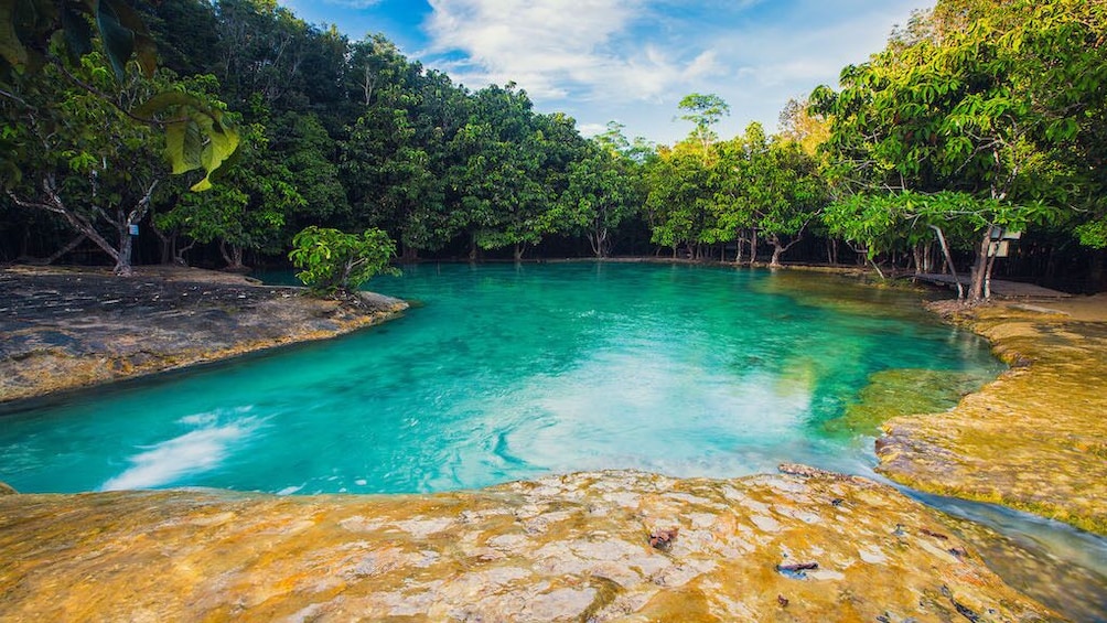 The Emerald Pool in Krabi, Thailand