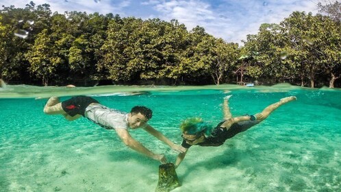 Die Wunder des letzten Tieflandregenwaldes Thailands
