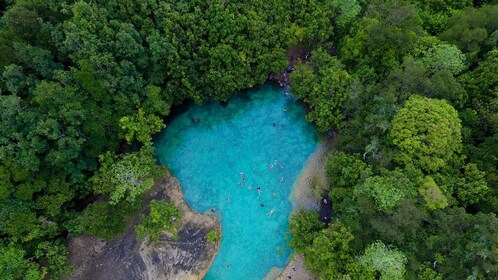Las maravillas de la última selva tropical de las tierras bajas de Tailandi...