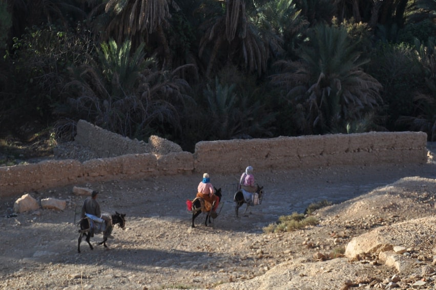 Three Days Tour to Morocco from Spain