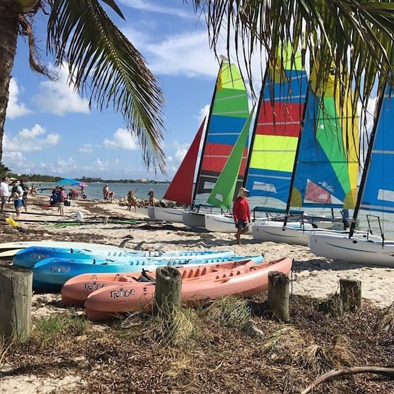 Hobie Cat Sailing with Miami Watersports