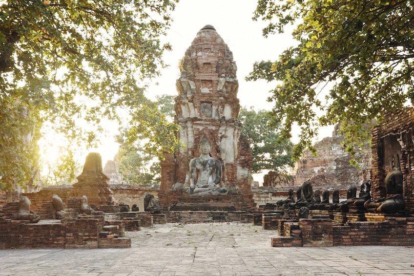 Sun shines through trees at Wat Mahathat 