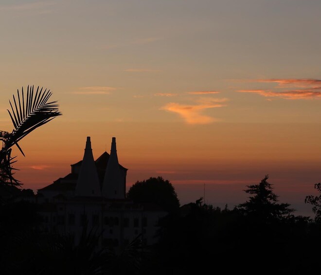 Private Night Walk: "Sintra, Dreams in the Woods"
