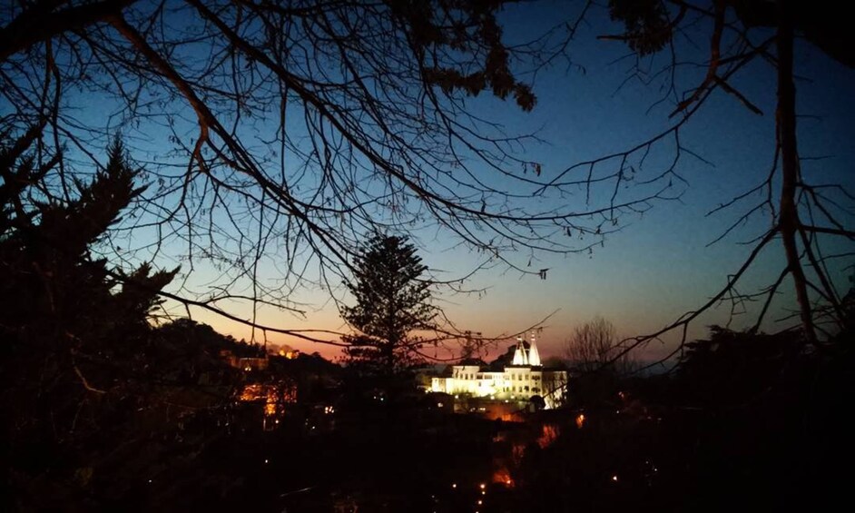 Private Night Walk: "Sintra, Dreams in the Woods"