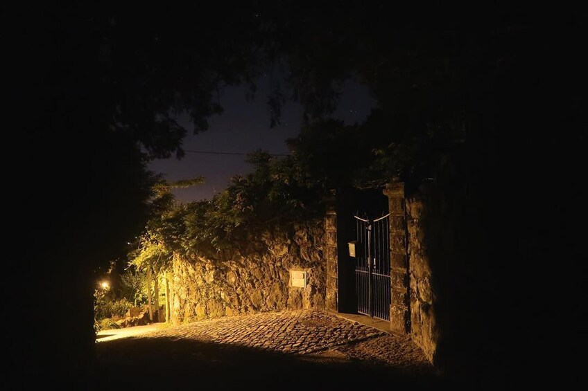 Private Night Walk: "Sintra, Dreams in the Woods"