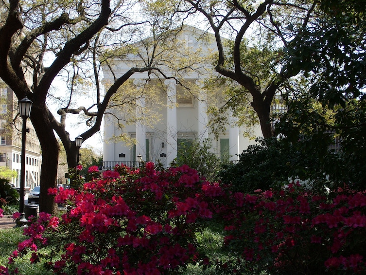 Show item 1 of 5. Stroll with a local through Savannah's Historic District