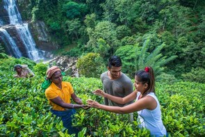 VILLAGE TREKKING AT RAMBODA WITH AN AUTHENTIC VILLAGE LUNCH