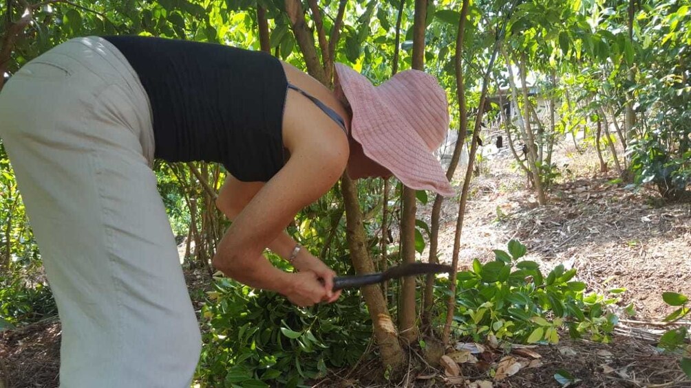 Private Cinnamon Experience in Hikkaduwa