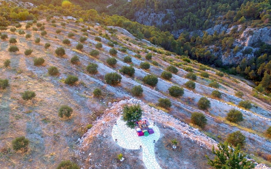 Show item 5 of 10. Bohemian romantic sunset dinner