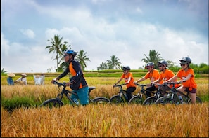 Amazing Tours-Kintamani Volcano Downhill Cycling-Temple