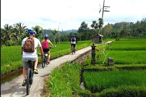 Private Tour: Volcano Cycling, Rice Fields & Agrotourism