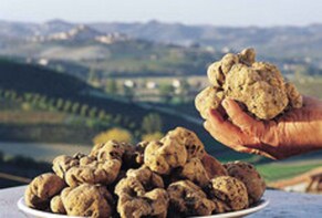 Truffle Hunting with lunch or dinner