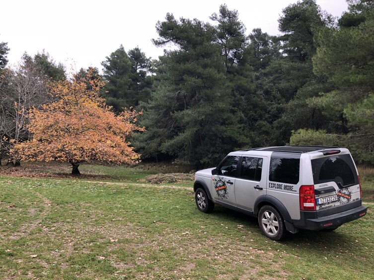 Land Rover in field of Parnitha Mountain Park