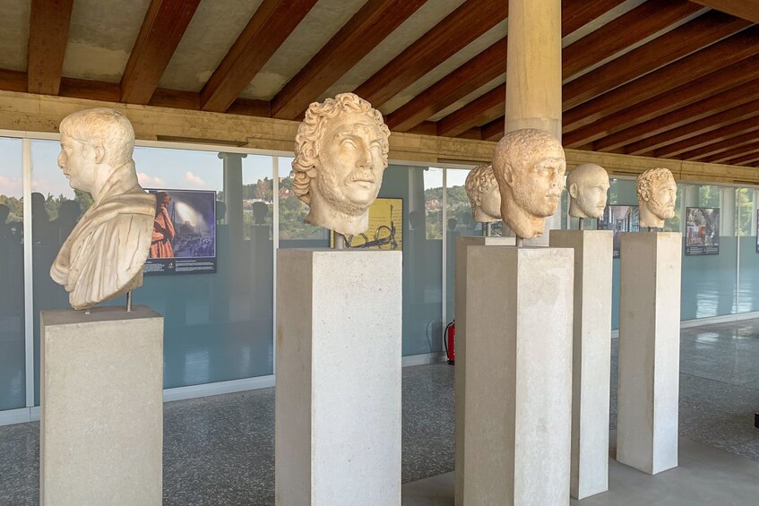 Marble sculptures of the heads of ancient Greeks