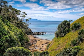 Coromandel Coastal Walkway Day Tour