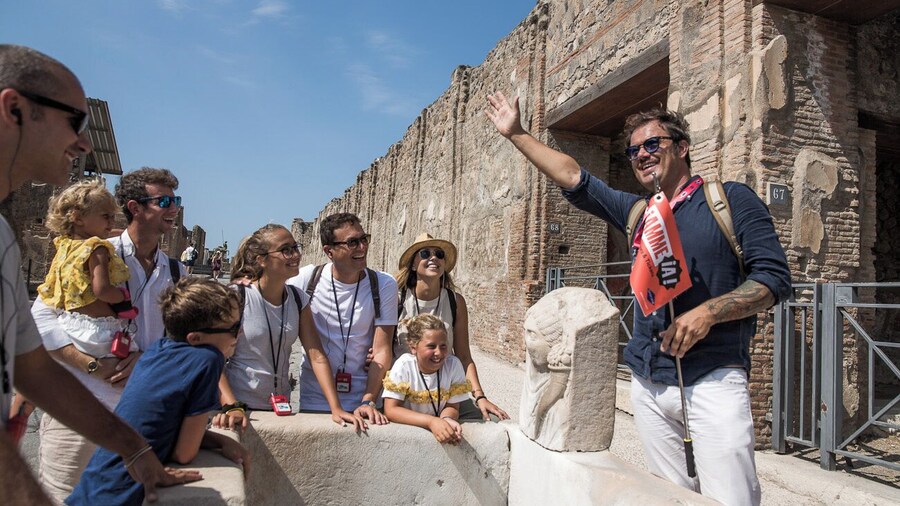 Priority Access Pompeii Guided Walking Tour