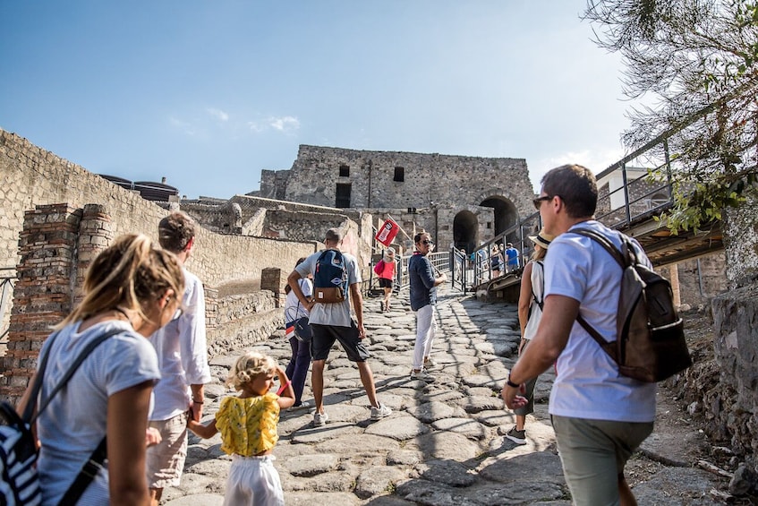 Pompeii: Guided walking tour with Skip the line tickets