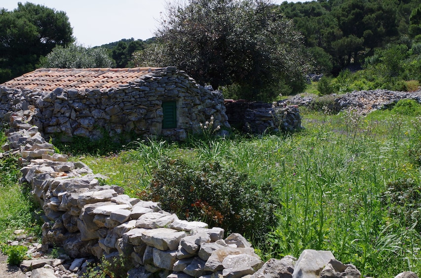 Show item 5 of 10. Full-day sailing - discover the beauty of Zadar's islands