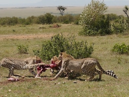 3 Days Tsavo East and West
