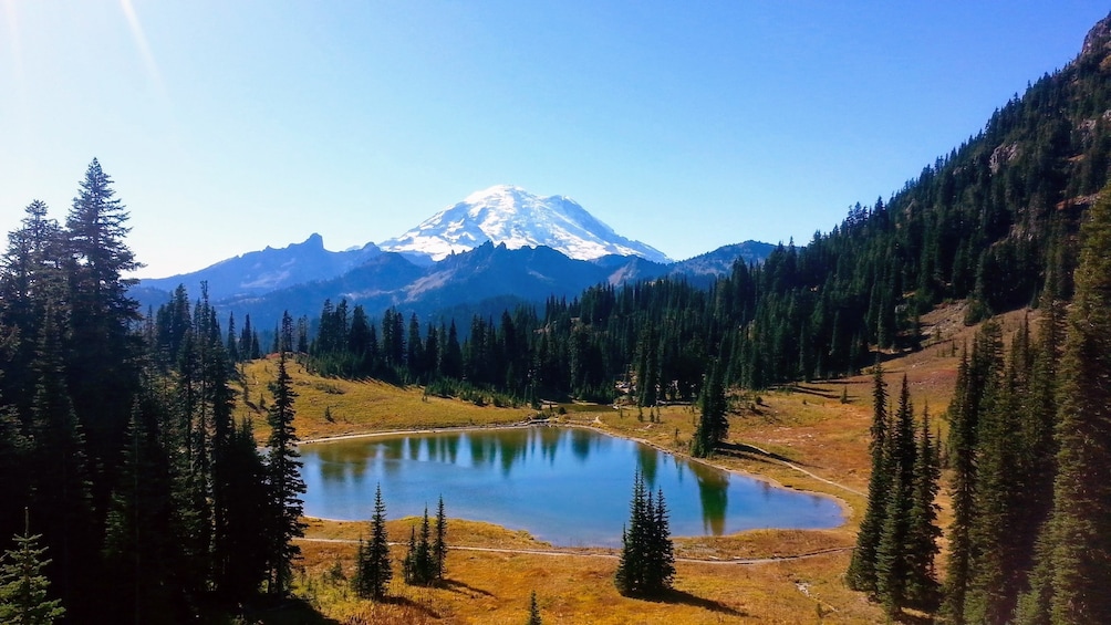 Mount Rainier and surrounding landscape on a sunny day