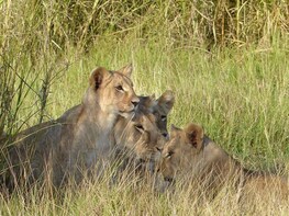 4 Days Amboseli and Tsavo
