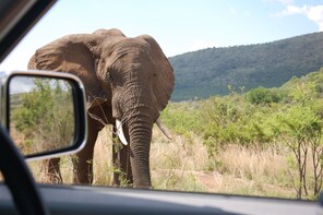 4 Days Kilimanjaro Experience