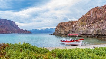 Wildlife & Island Hopping Nature Tour