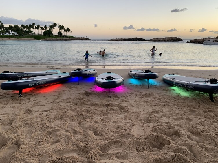 Night Glow Paddle