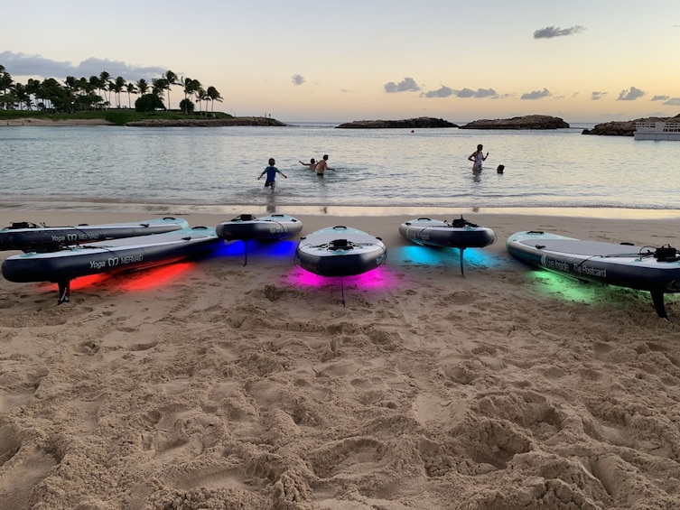 Night Glow Paddle